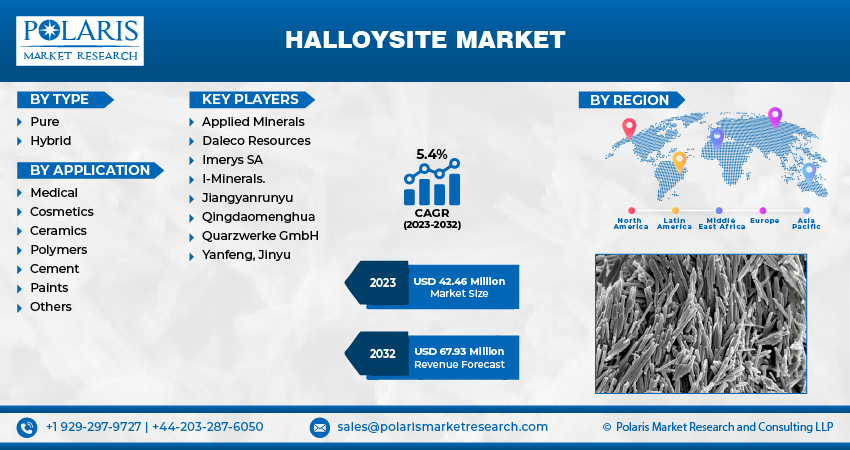 Halloysite Market Size